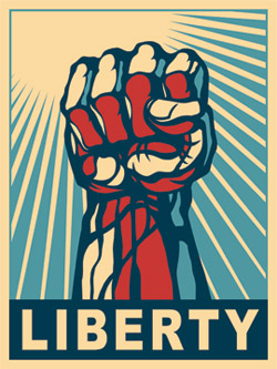 18x18 Multicolor Liberty Swag Thought Criminal Libertarian Conservative Liberty Ancap NAP Throw Pillow 